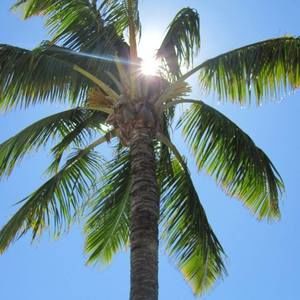 Meet your Posher, Teena